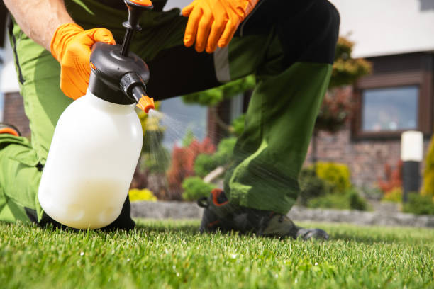 Best Mosquito Control Services  in Chadds Ford, PA