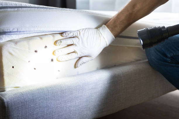Best Residential Pest Control  in Chadds Ford, PA