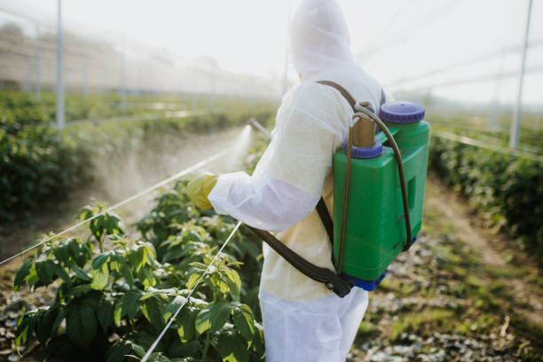 Best Pest Control Near Me in Chadds Ford, PA